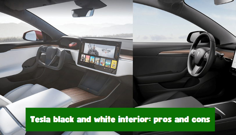 tesla black and white interior