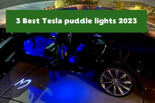 Tesla puddle lights