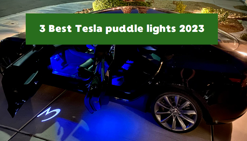 Tesla puddle lights