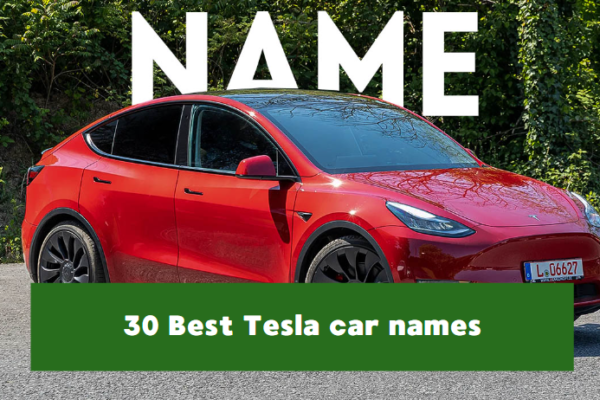 Tesla car names