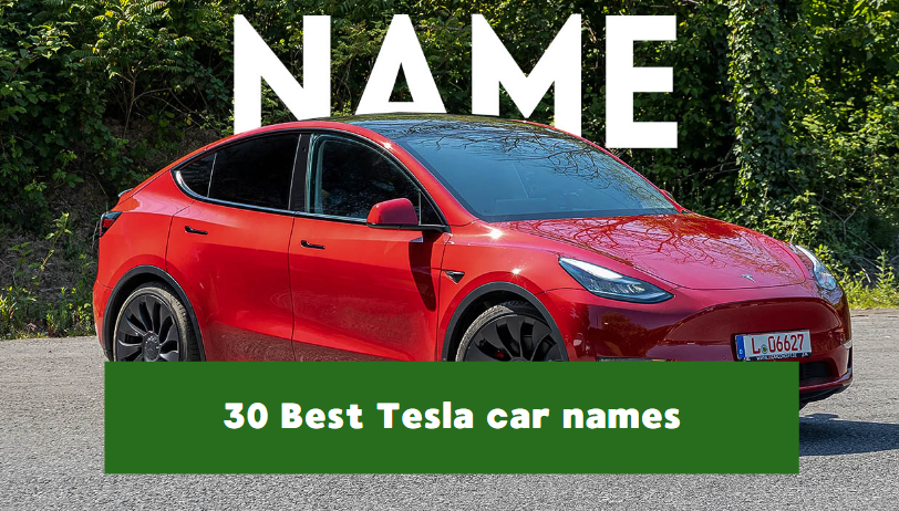 Tesla car names